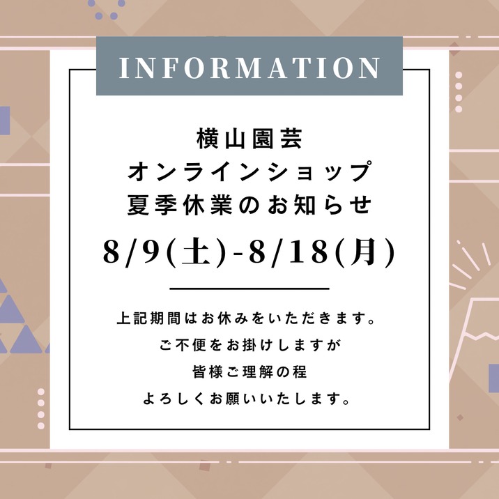 原種シクラメン | 横山園芸 Yokoyama Nursery｜公式オンライン