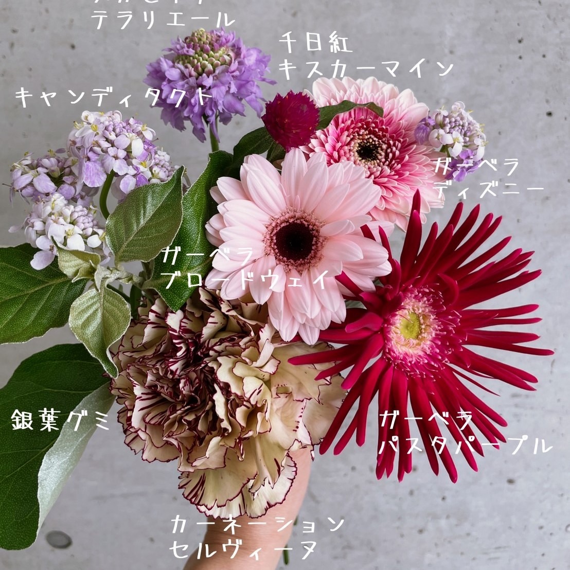 4月11日発送の定期便テーマ 4月18日はガーベラ記念日 よいはな Yoihana 最高品質のお花をお届けするネット通販
