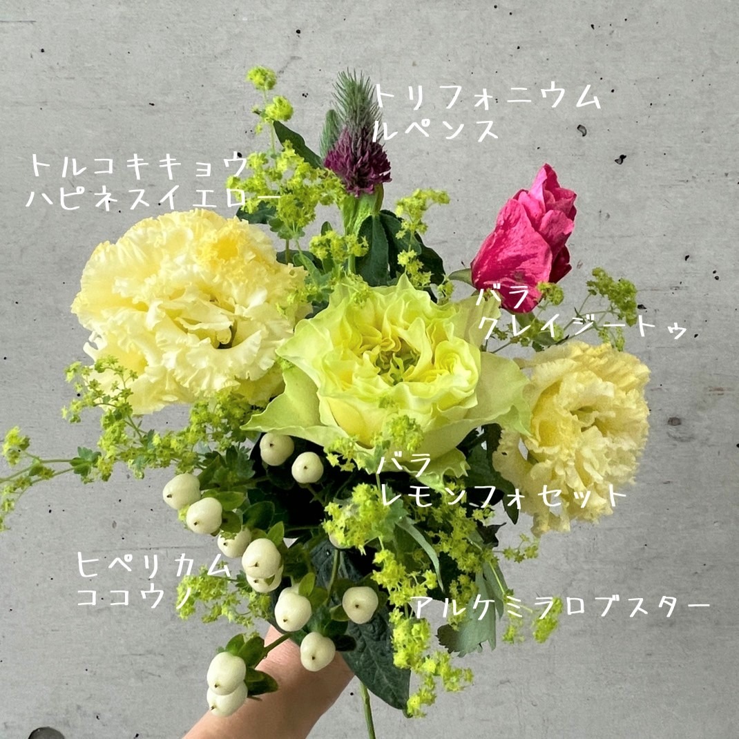 4月18日発送の定期便テーマ 春バラを飾りたい サン ジョルディの日 よいはな Yoihana 最高品質のお花をお届けするネット通販 4月18日発送の定期便テーマ 春バラを飾りたい サン ジョルディの日 よいはな Yoihana 最高品質のお花をお届けするネット通販