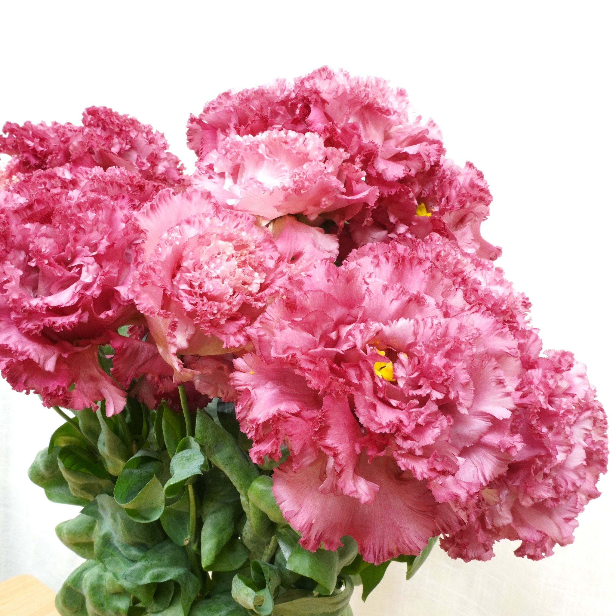 夏でも楽しめるお花 トルコキキョウ よいはな Yoihana 最高品質のお花をお届けするネット通販