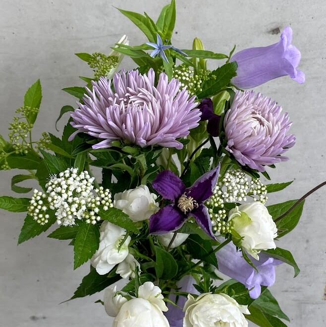 9ff286b0bd082c2d641faa6fa7dcdd