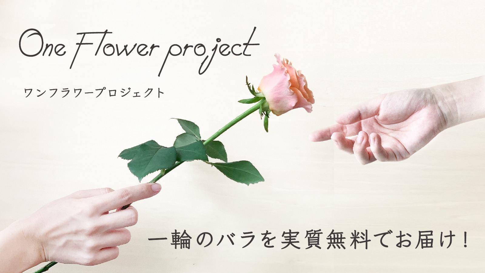 お花のつくり手を応援する ワンフラワープロジェクト 最高品質の一輪を ５００ 送料込み でお届け よいはな Yoihana 最高品質のお花をお届けするネット通販