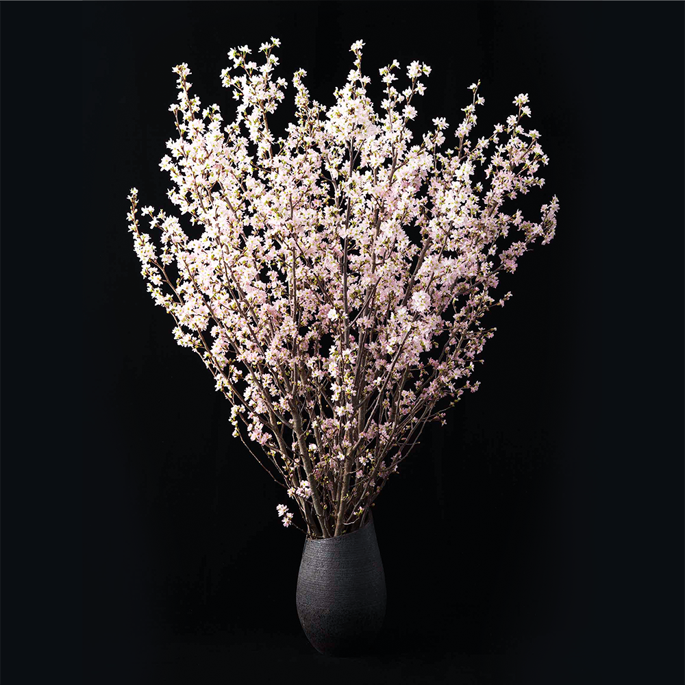 自宅でお花見気分を味わおう 啓翁桜特集 よいはな Yoihana 最高品質のお花をお届けするネット通販