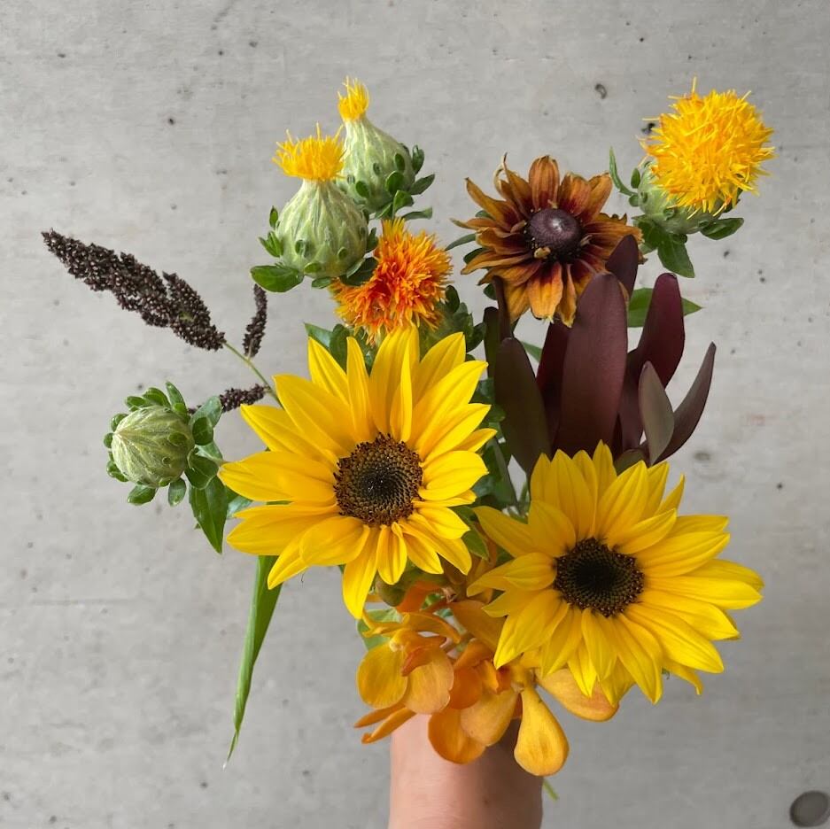 6月13日発送の定期便「ヤマキ花卉園のヒマワリ第2弾オレンジ系」