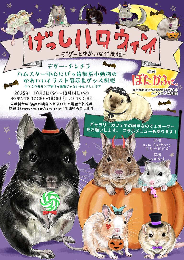 2024年10月4日(金)〜15日(火) 『ふぇれらば！〜ferret lover展