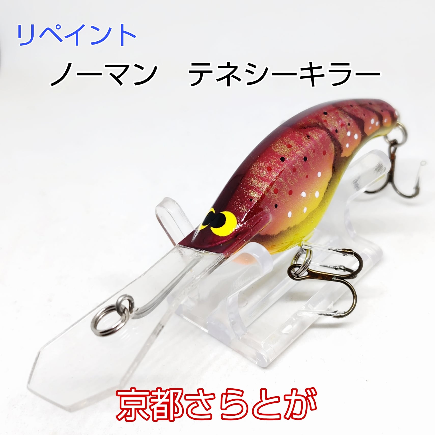 COTE ※ルアーリペイント　 さらとが通信 9月20日更新 | 京都さらとが