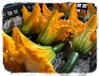 森田さんの花ズッキーニ Fennel