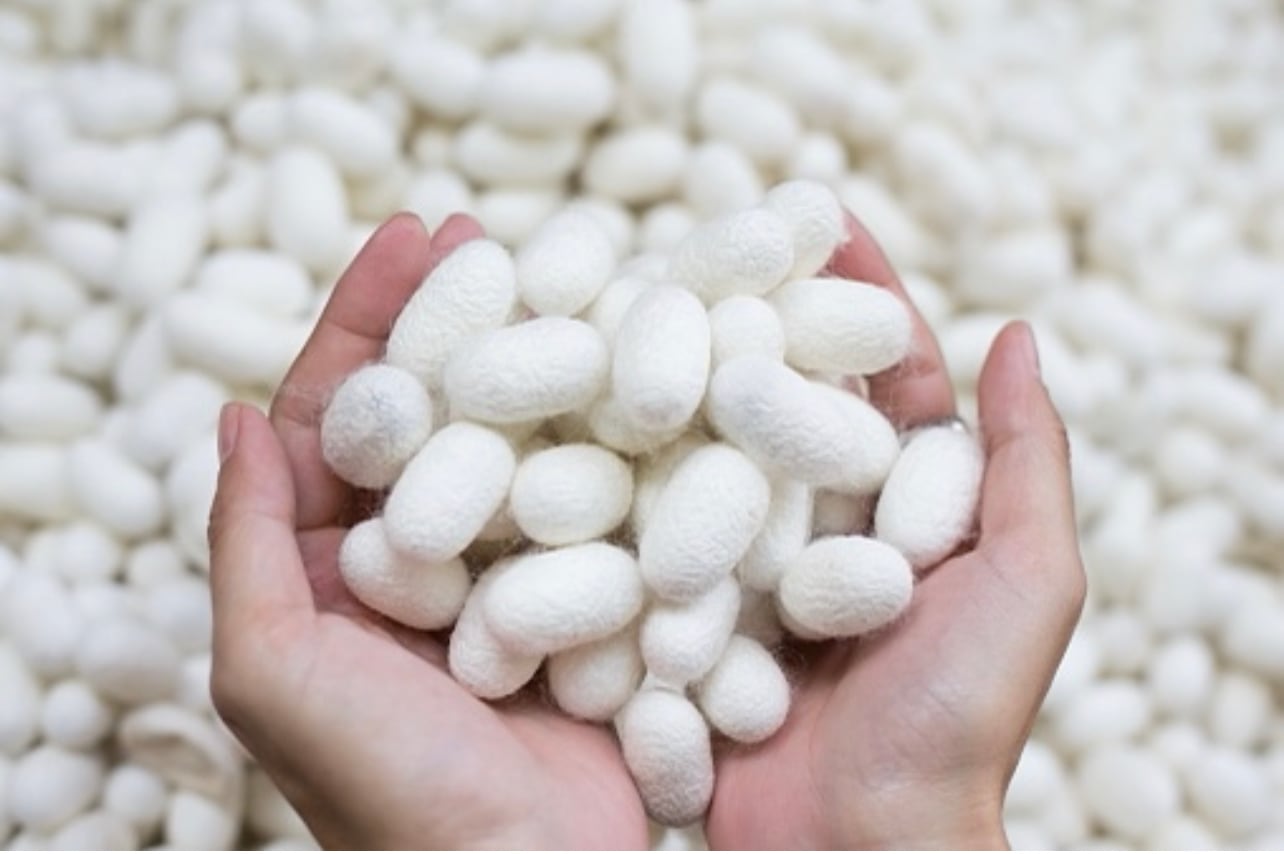 シルクバーム2個シルクシャンプー1000ml シルク バーム 2個