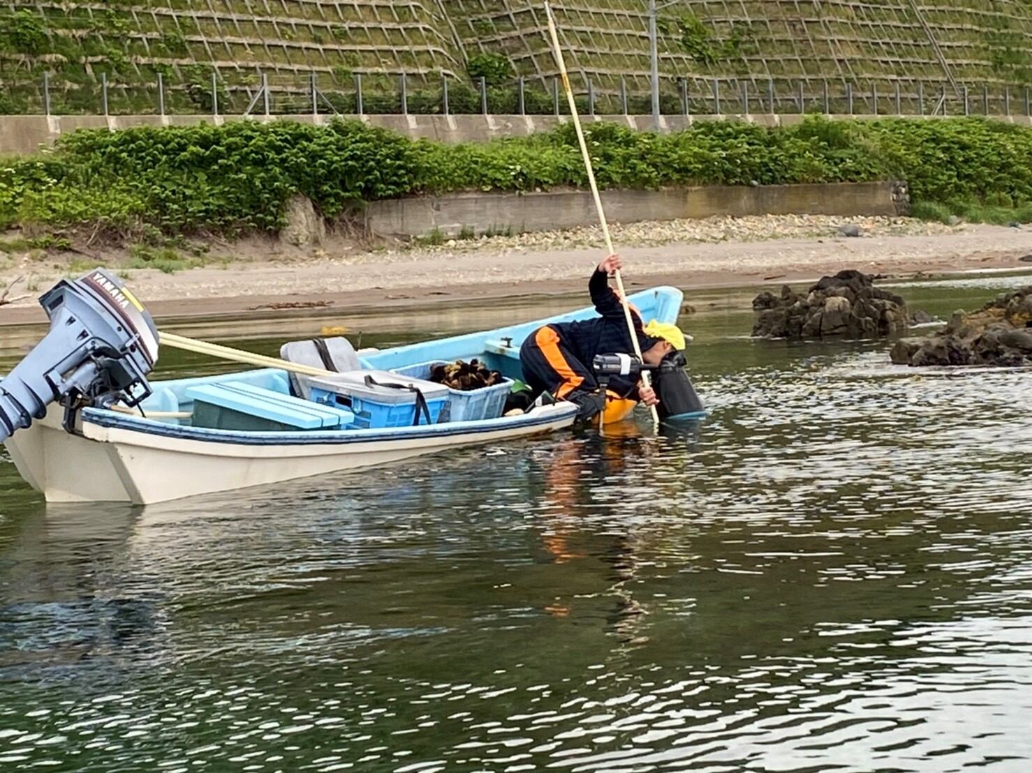 ウニ様確認用 uni様確認用 ウニ様確認用 うに様○確認用 UNI様 ご