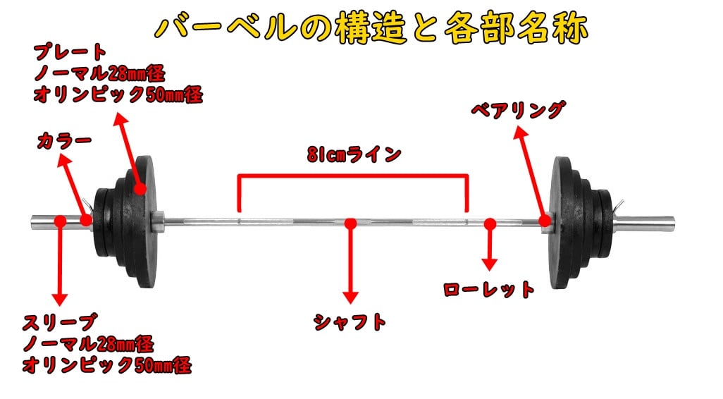 オリンピックバーベルシャフト 20kg (オリンピックシャフト オリンピックバーベルシャフト 20kg (オリンピックシャフト