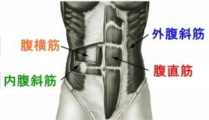 腹筋群のダンベルトレーニング｜腹直筋上部・腹直筋下部・腹斜筋それぞれの筋トレメニュー解説