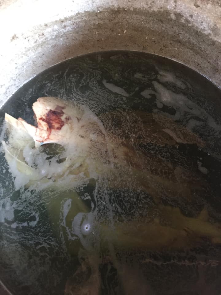 猪の頭骨ができるまで | 里山素材研究所