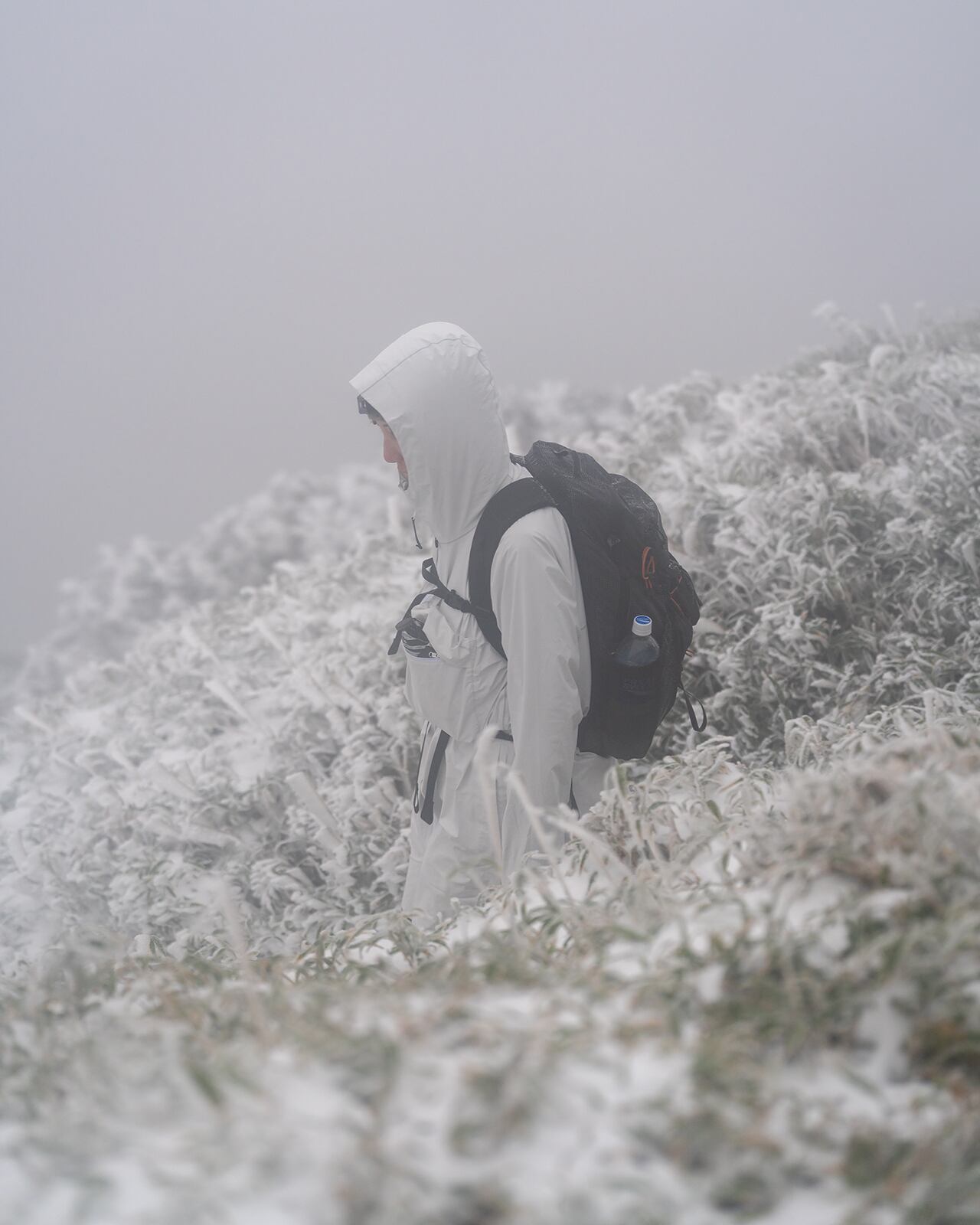 新高塚小屋〜平石〜白谷雲水峡 | RIDGE MOUNTAIN GEAR