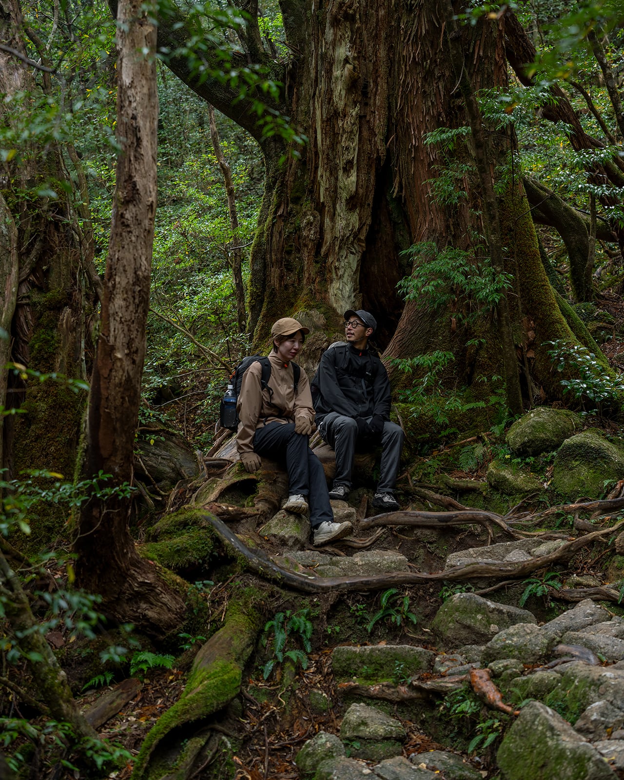 白谷雲水峡〜新高塚小屋 | RIDGE MOUNTAIN GEAR
