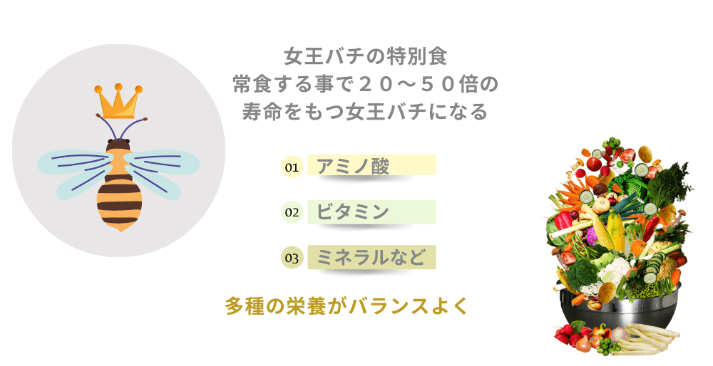 ローヤルゼリーとは