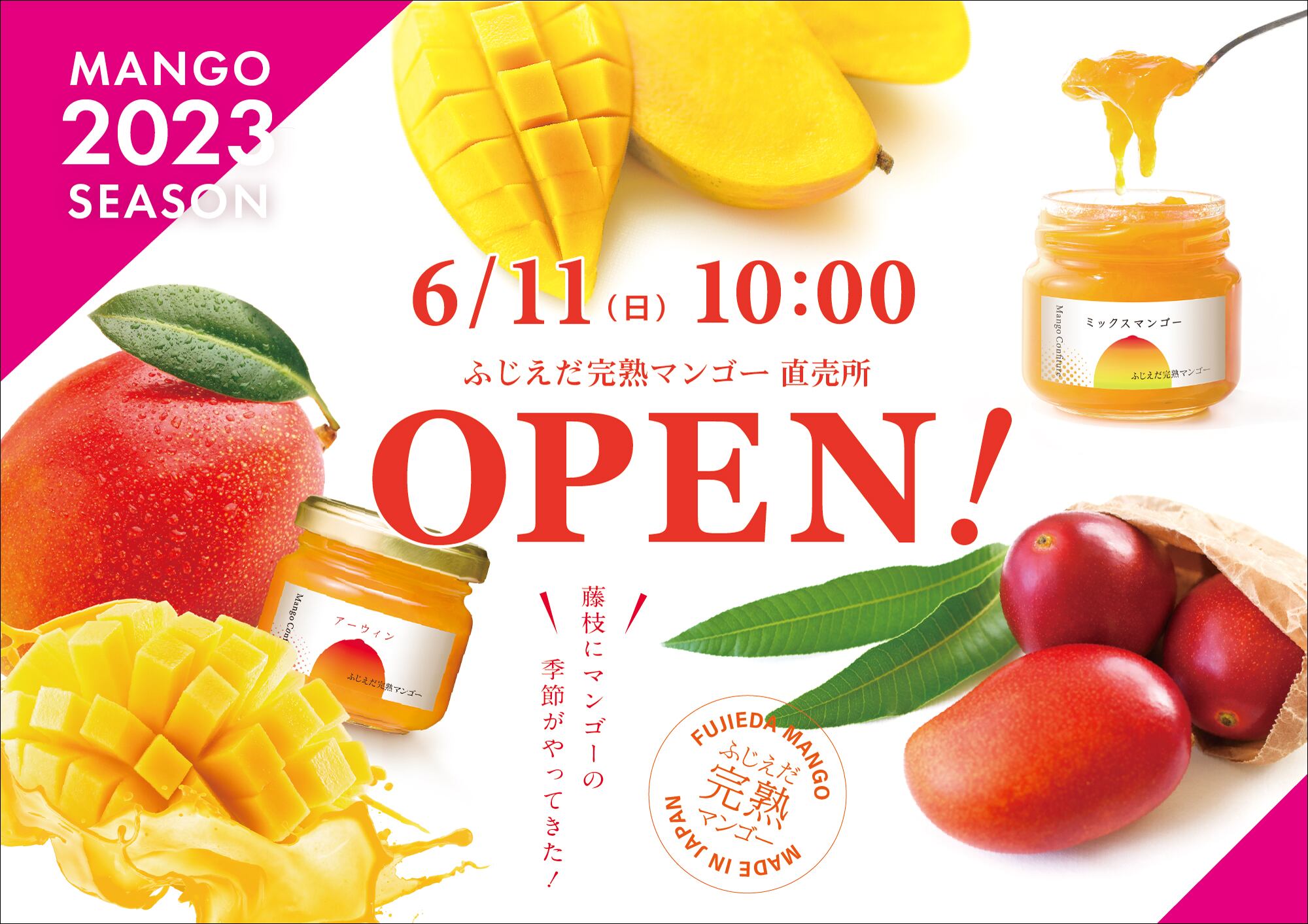 摘果マンゴー　20kg 最終価格 摘果マンゴー 20㎏ 果物