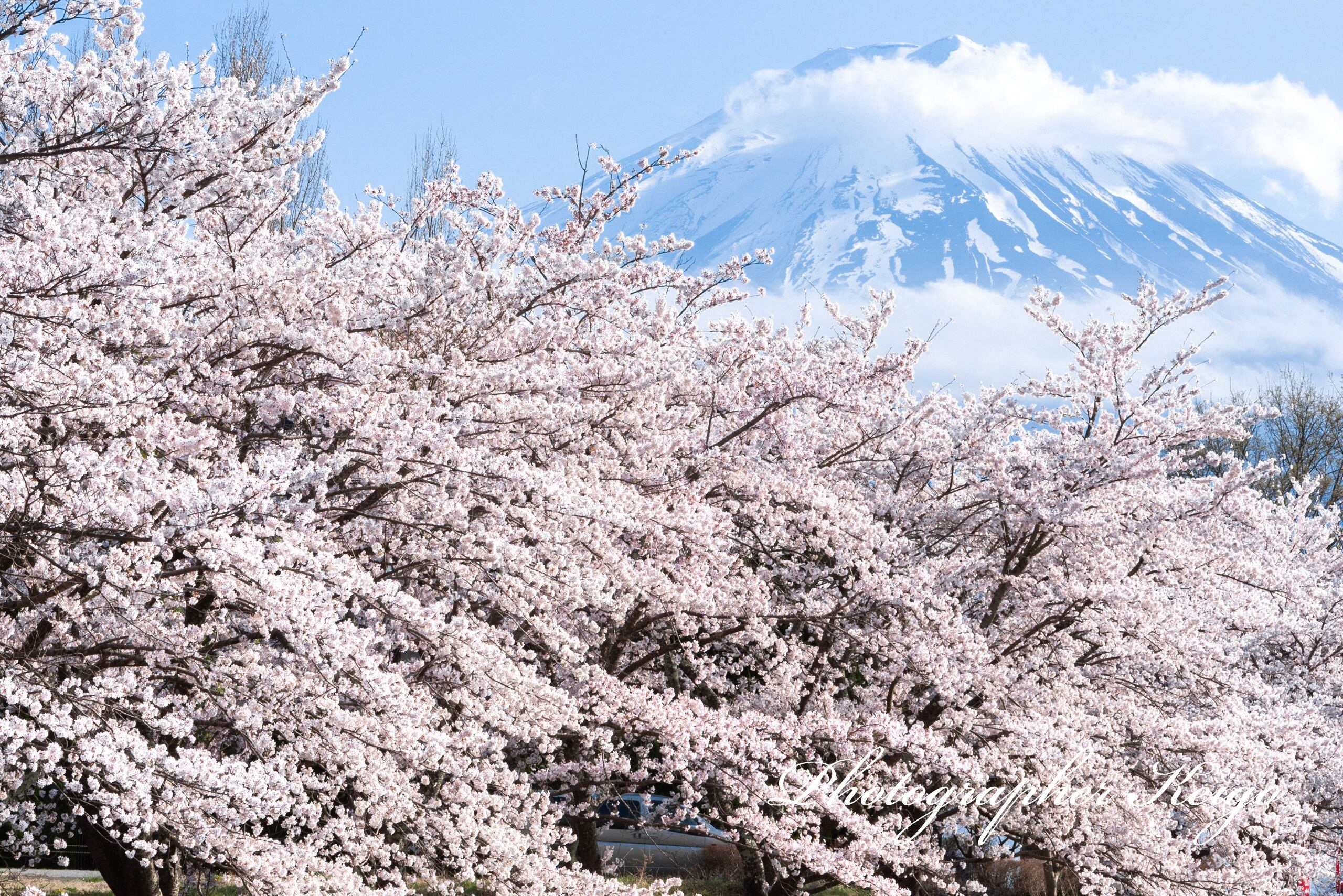 春休みの撮影日記 | 富士山写真家 Suzuki Keigo