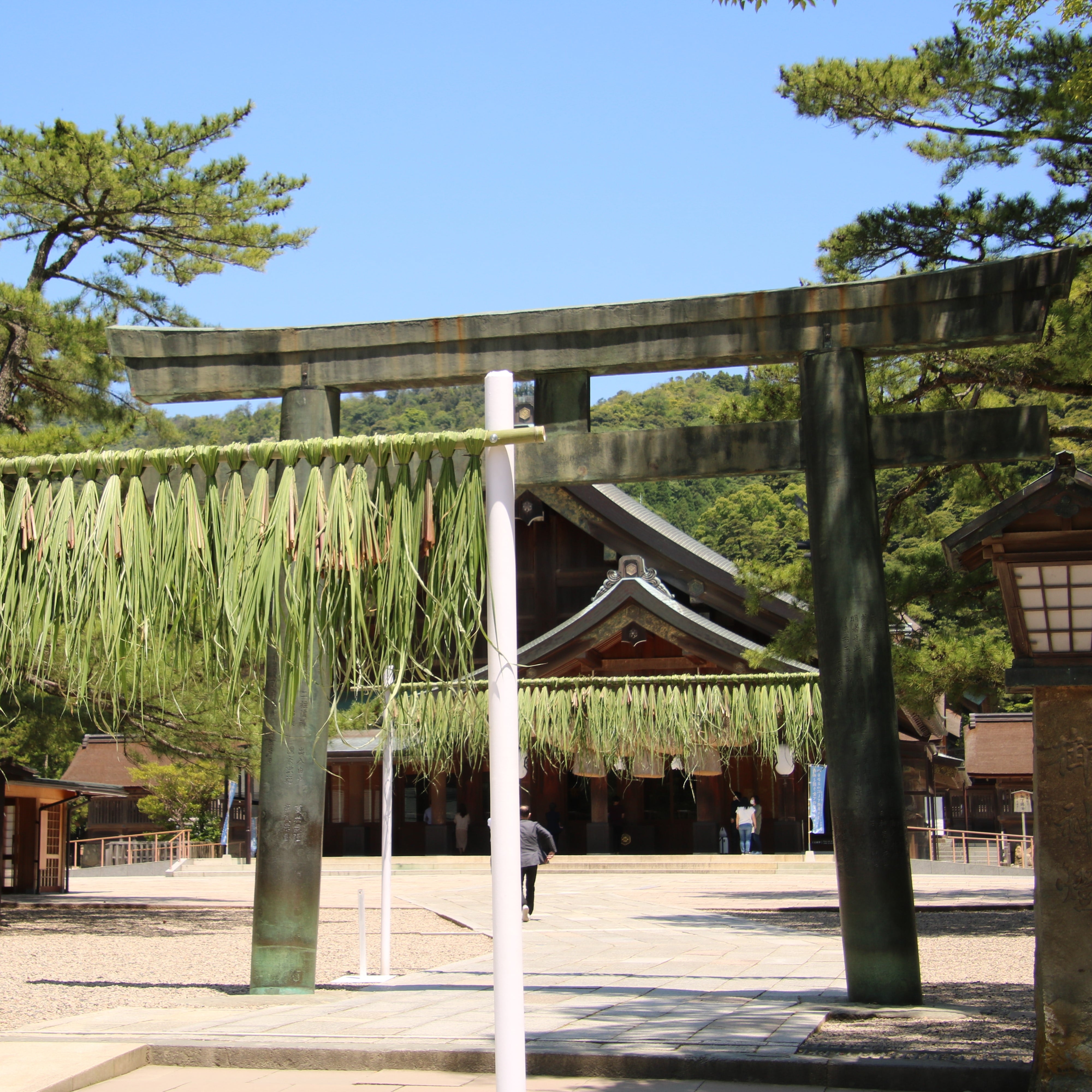 暑い夏を健やかに迎えるために 夏越の大祓とまこも神事 | kiu 祈雨