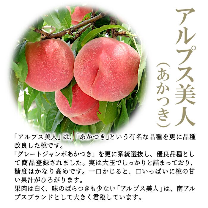 山梨県南アルプス市産の桃「アルプス美人（あかつき）」の予約販売が