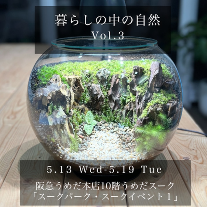 ヒレ長専門店　テラリウム 苔テラリウム専門店Feel The Garden