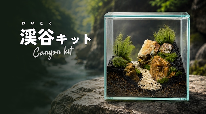 苔テラリウム専門店Feel The Garden