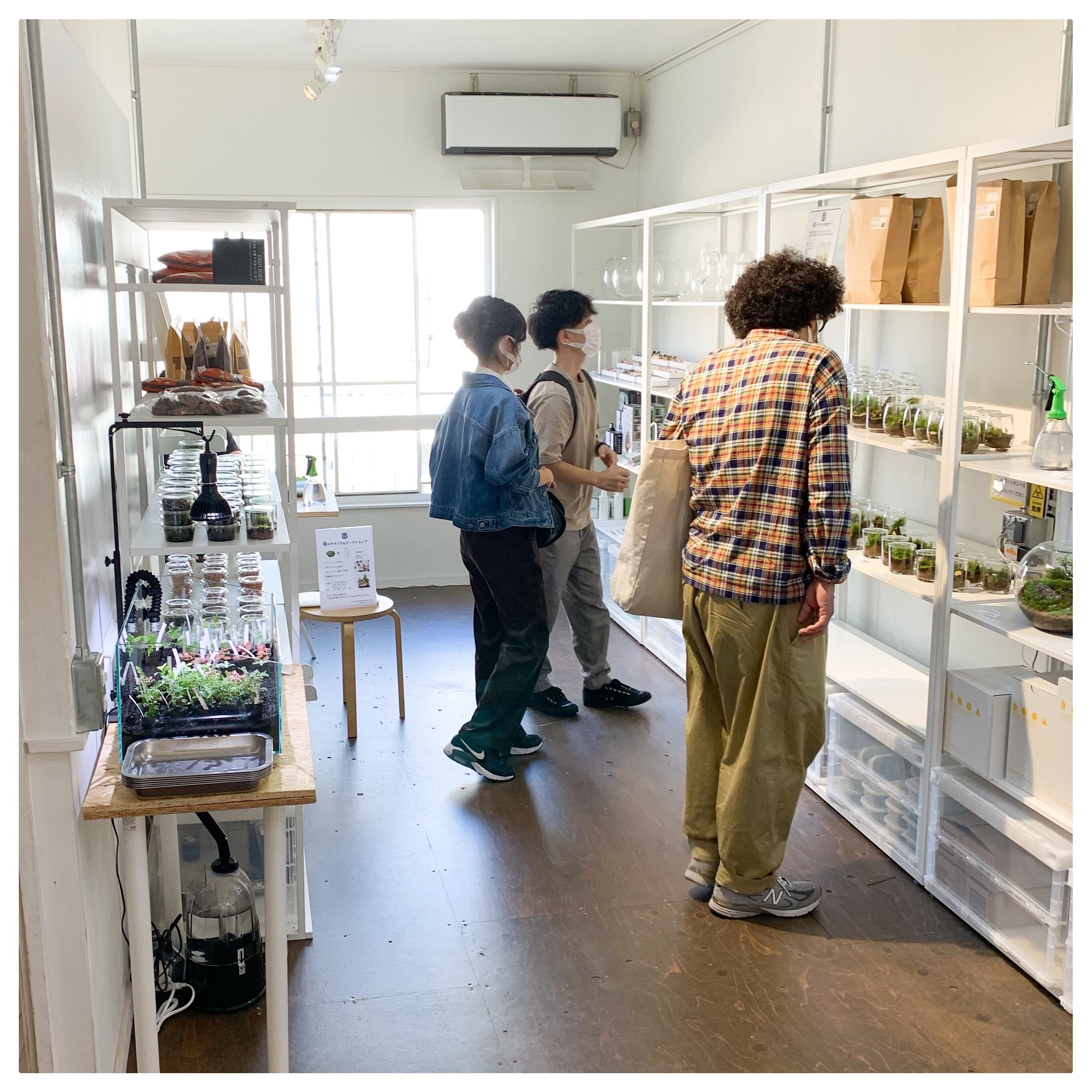 テラリウム専門店Terrariums 店舗に関して | 苔テラリウム専門店Feel