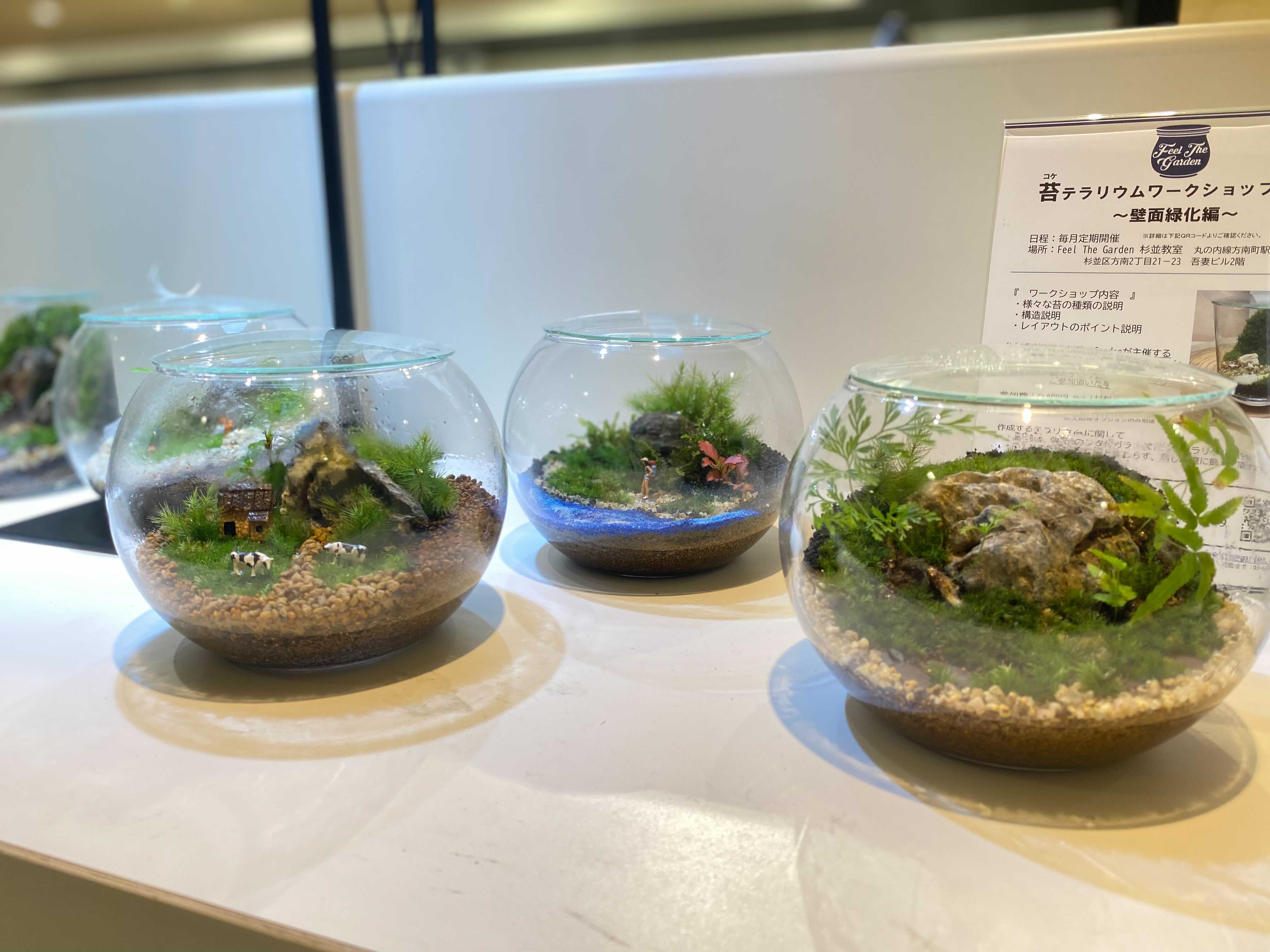 マルイ大宮店 】Terrariums 出店。 | 苔テラリウム専門店Feel The Garden