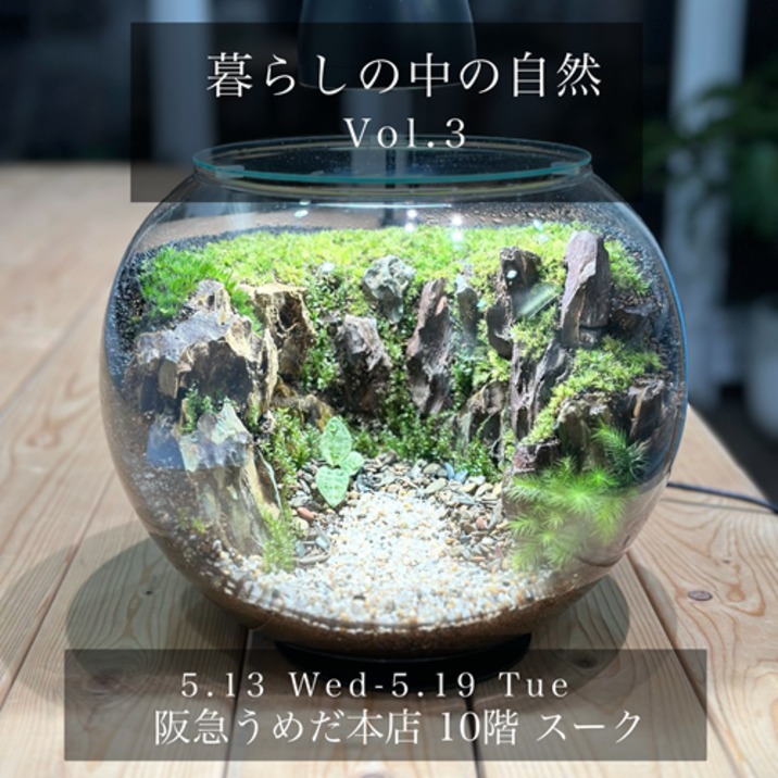 テラリウム専門店 Terrariums POPUP STORE を開催致します。 | 苔