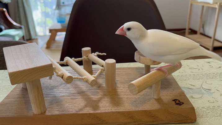 また会おうね🌈ららちゃん🐦