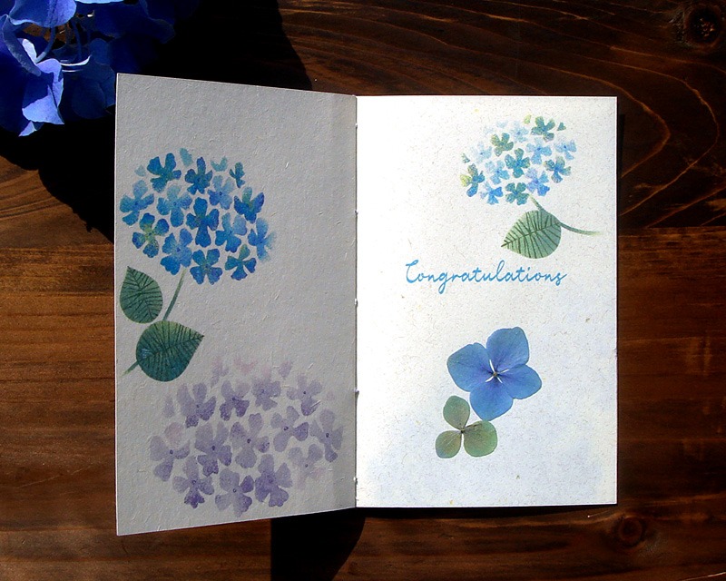 6月の花嫁に 紫陽花の押し花を貼って贈る 草木染め和綴じカード はいかが 繪処