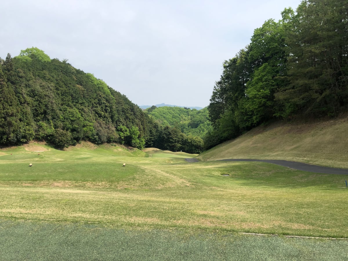 ウェッジ 56度｜日本の芝とバンカーを完全攻略する、伝統のサンド