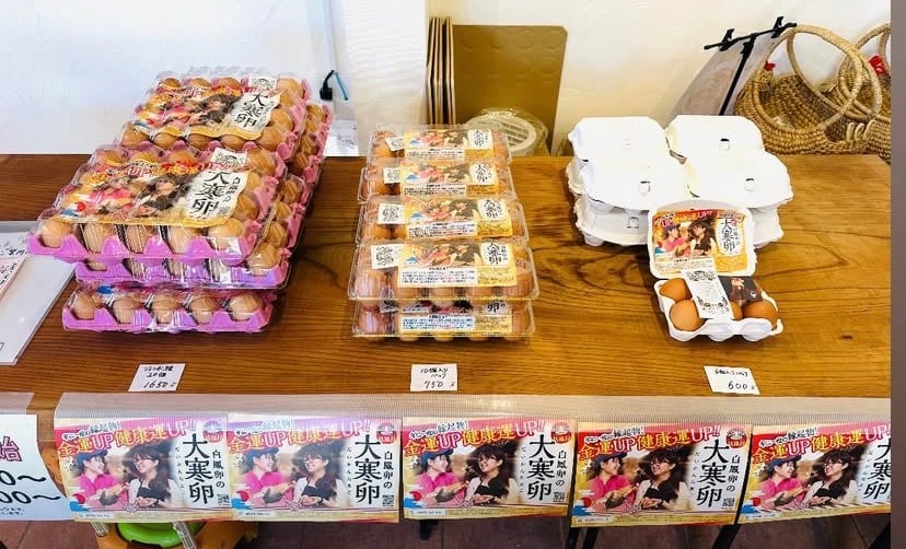 うらたま【12月26日発送】 たまごっち ウラたま