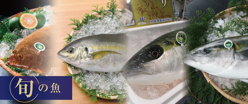 旬の魚 秋の魚一覧 豊酵marinfoods