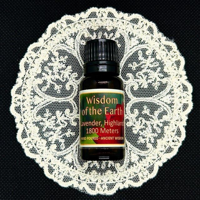 Wisdom of the Earth (WOTE)イランイラン 15m 9割残 Wisdom of the Earth
