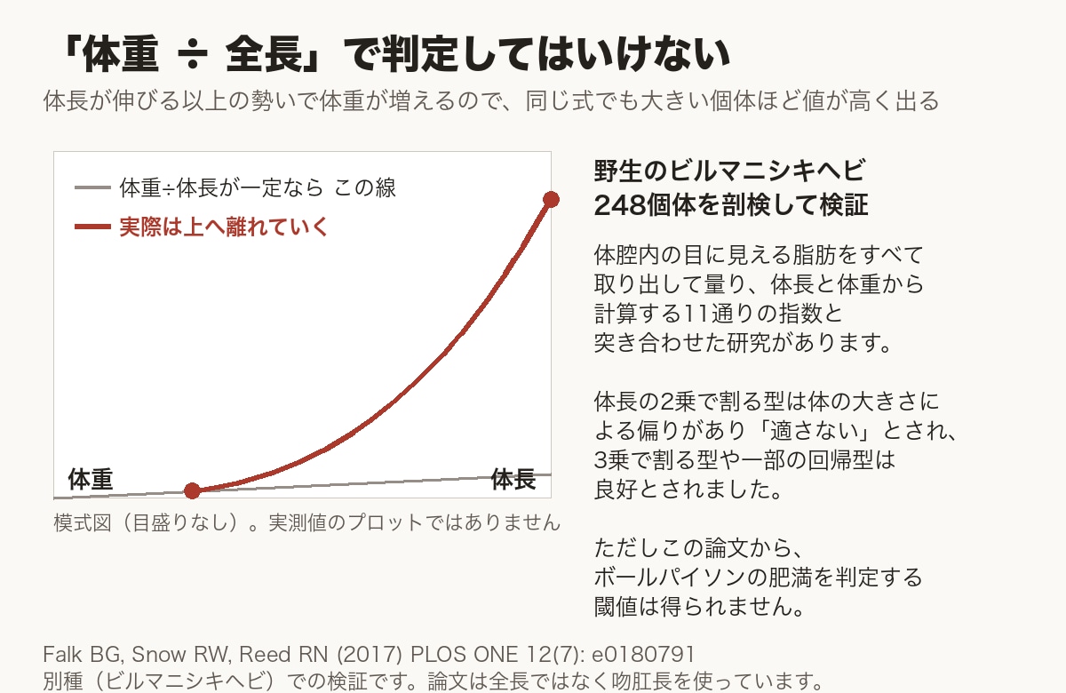 ボールパイソンの肥満判定で体重÷全長が使えない理由を示す模式図。体重÷体長が一定なら直線になるはずが、実際の曲線はそこから上へ離れていく