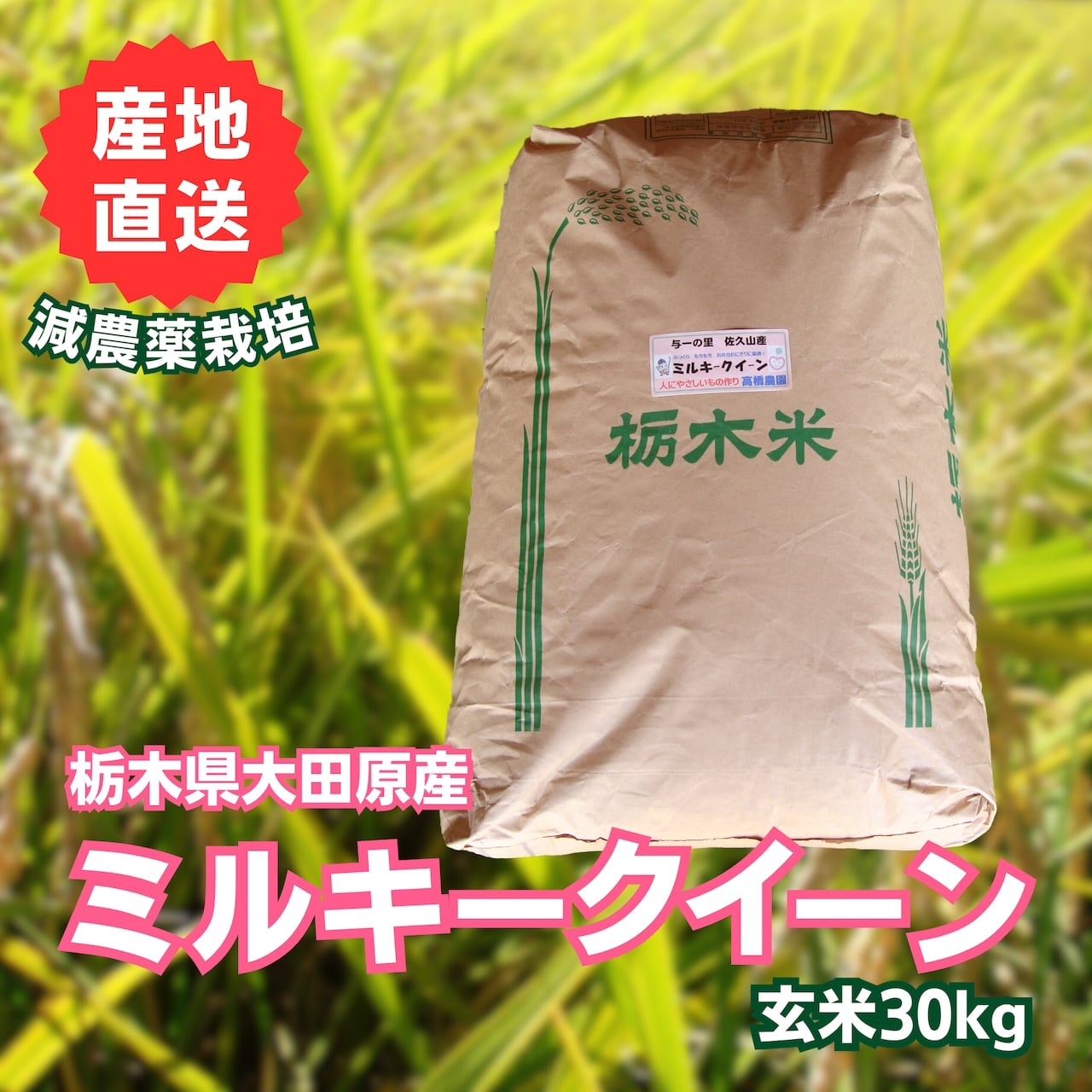 新米＞「ミルキークイーン 玄米 30kg」9/1（月）注文受付開始いたし