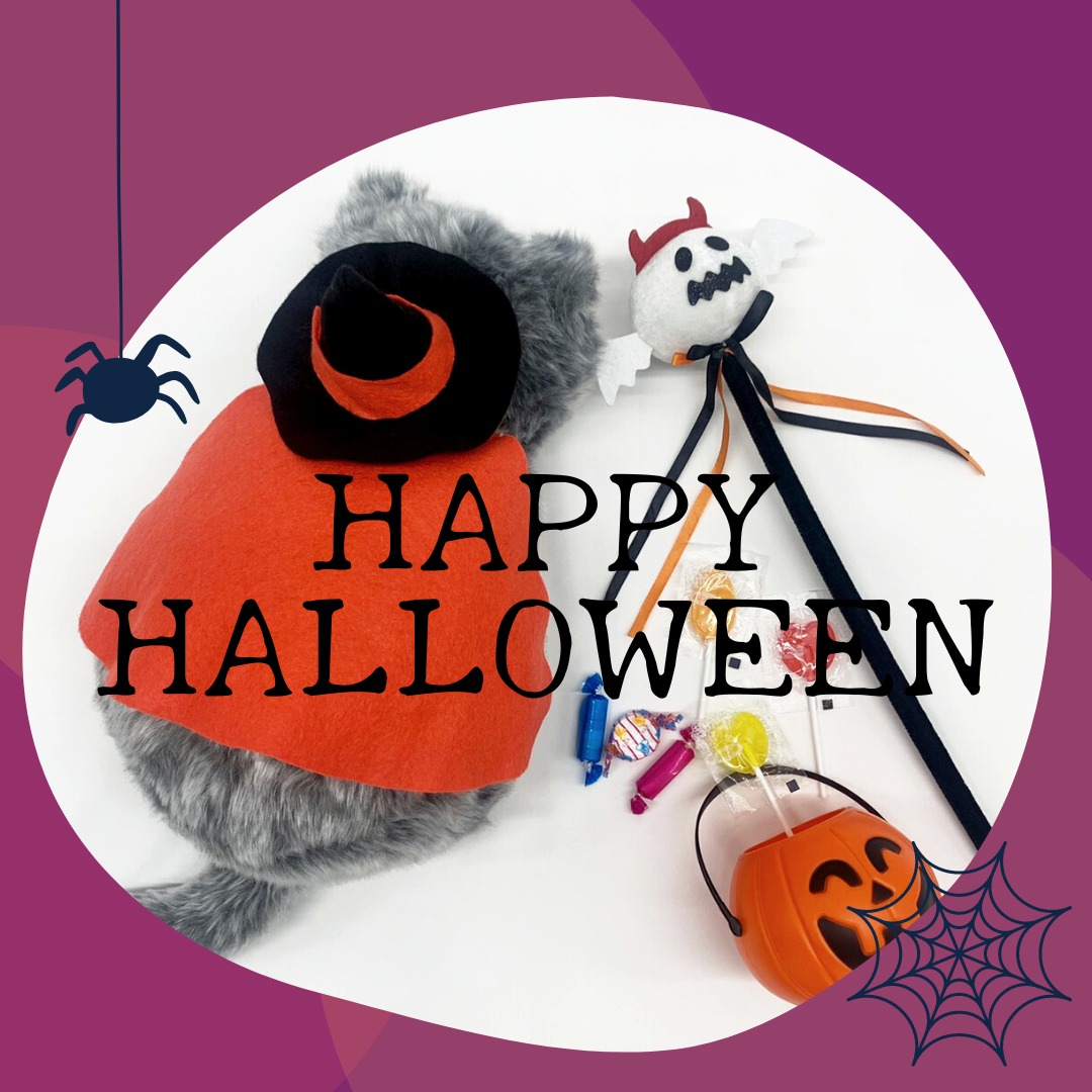 Trick Or Treat ミャウエバー 本物の猫さんの仮装用に 魔女帽子 マントの作り方をご紹介 Cocomeow