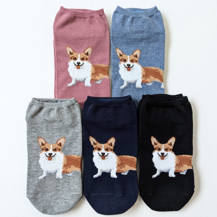人気のくるぶしソックス『リアルワンちゃんシリーズ』からコーギー柄