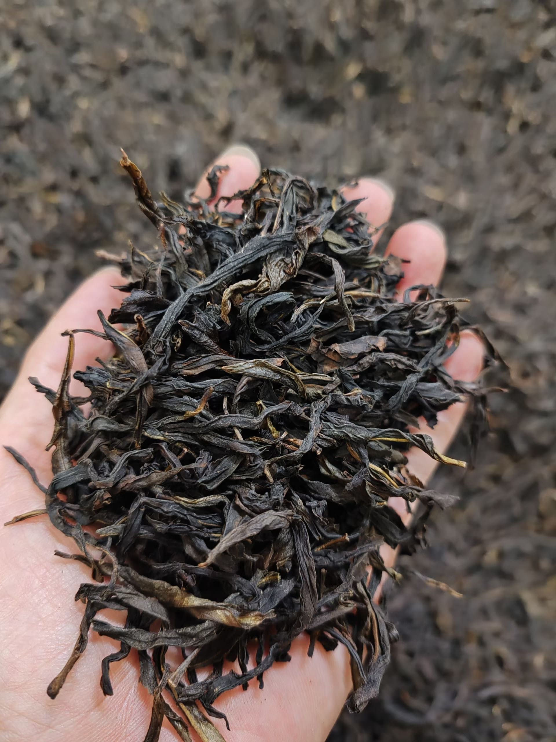 鳳凰単叢の積み茶について ‐中編‐【大容量の中足火〜足火シリーズ販売