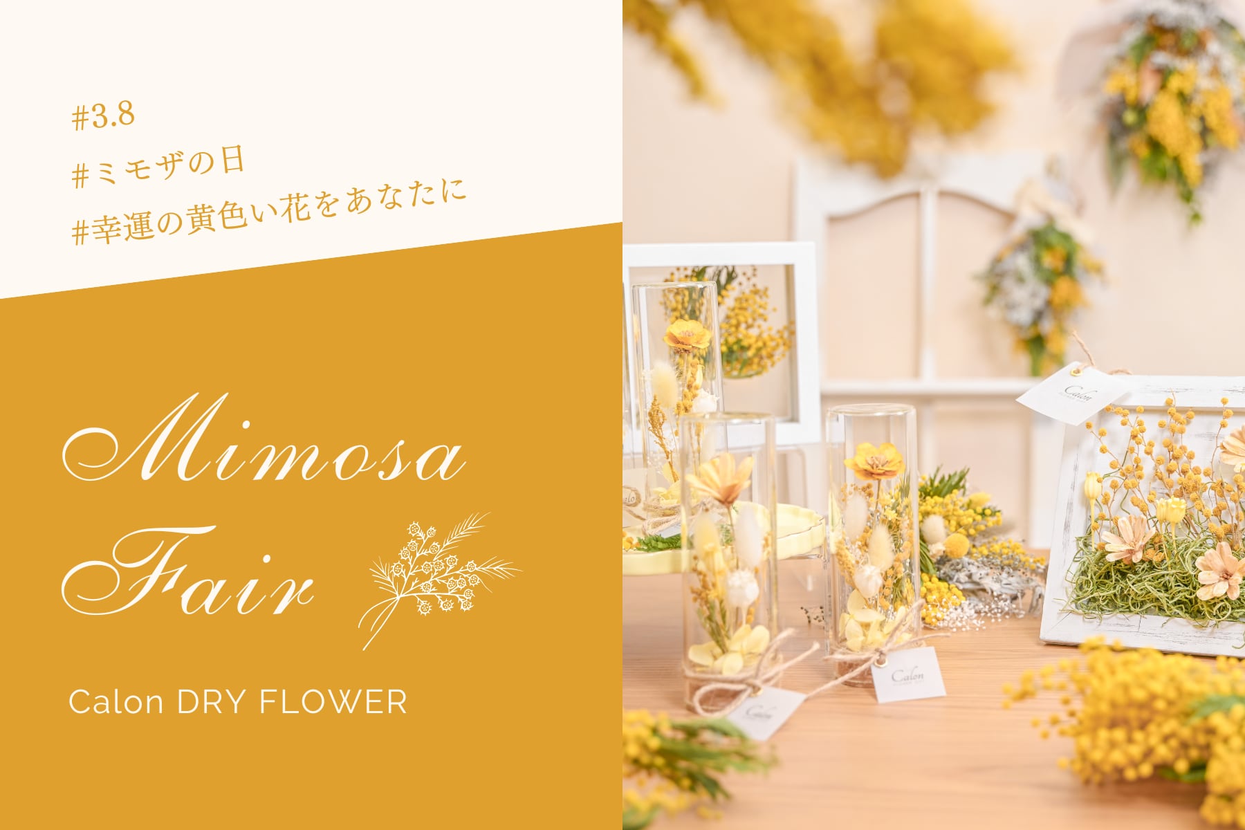 ドライフラワースワッグ  幸運イエロー　春 ドライフラワースワッグ 幸運イエロー 【公式通販】