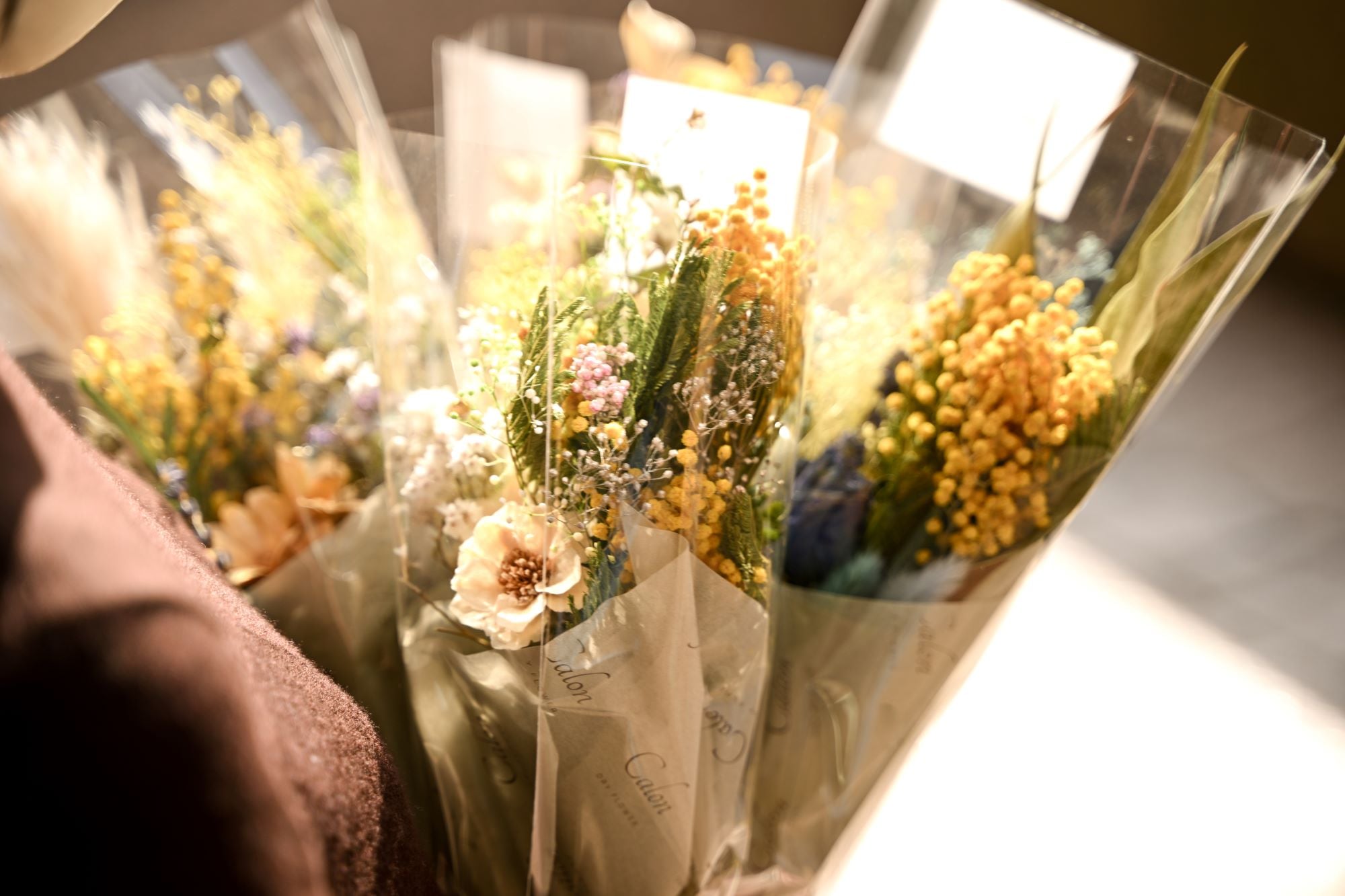 b6cdd5cece10b52c1998a0b381ecf0