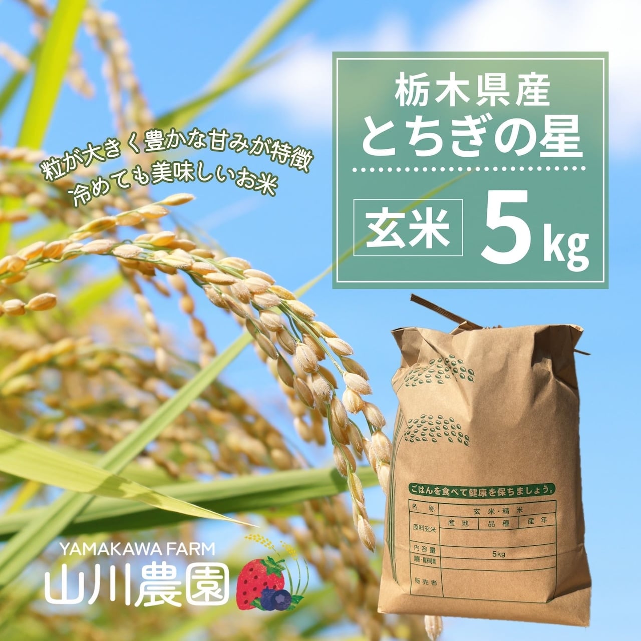 ☆農家直送　令和7年産とちぎの星　20Kg　玄米 (精米可) 山川農園】新米 「令和8年産 とちぎの星 玄米 5kg・25kg」 予約注文