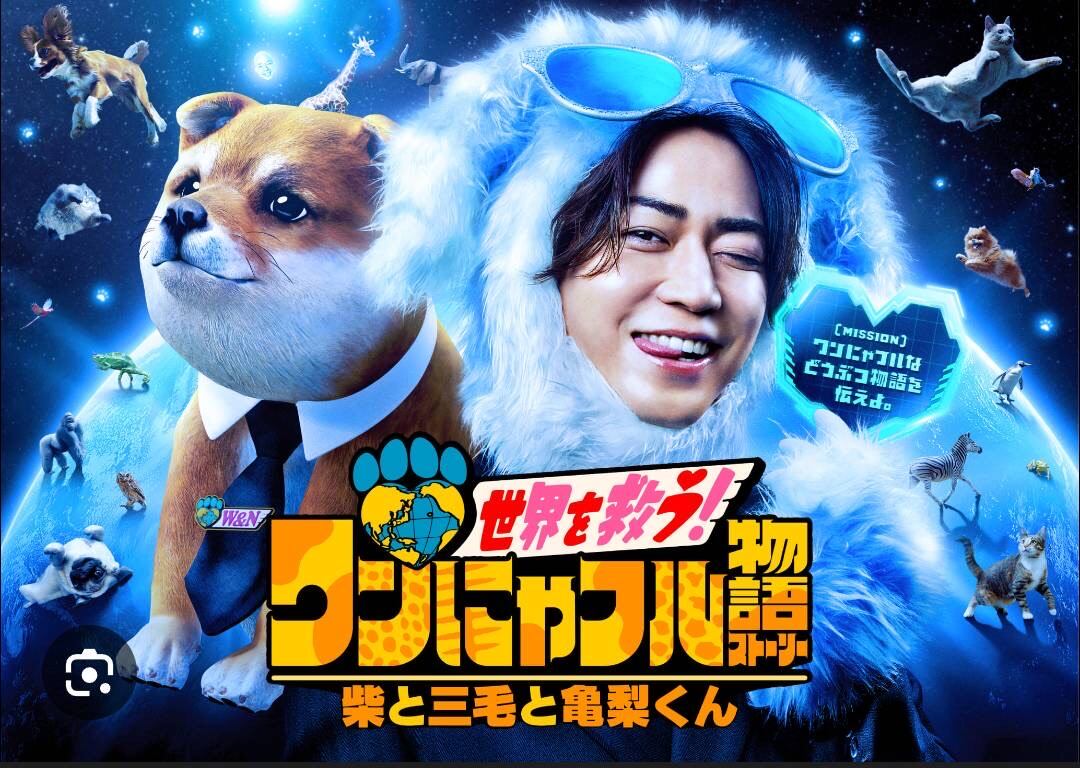 1/21(水)18:25～：『ワンにゃフル物語』にねこかつ登場！ | 保護猫
