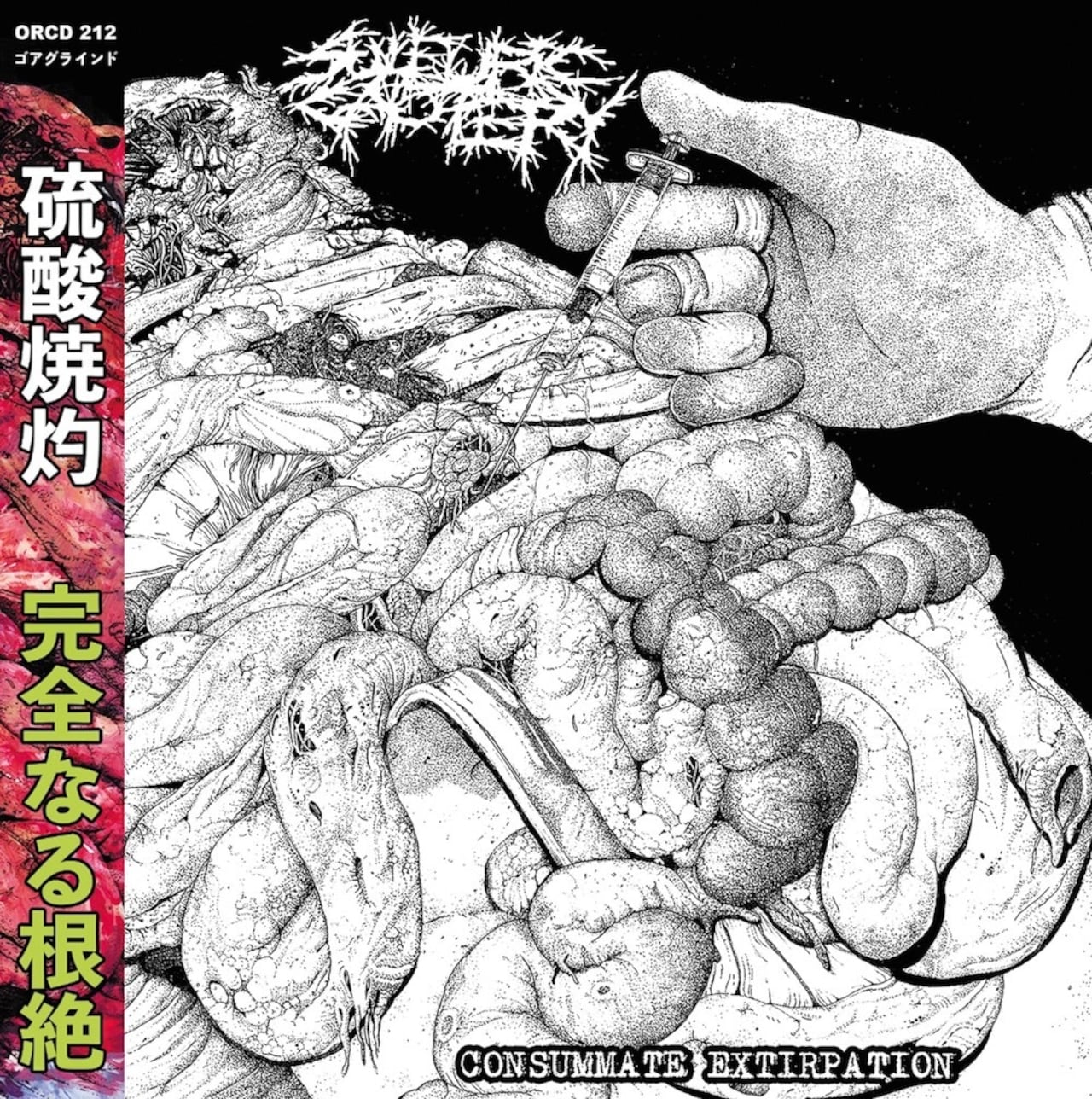 予約受付中 日本脳炎/HONG KONG CAFE | RECORD SHOP CONQUEST/レコード