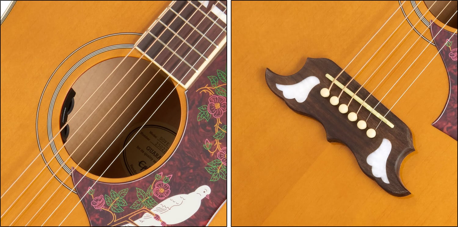 渋いナチュラル登場！ギブソン直系エピフォンによる「Dove Studio