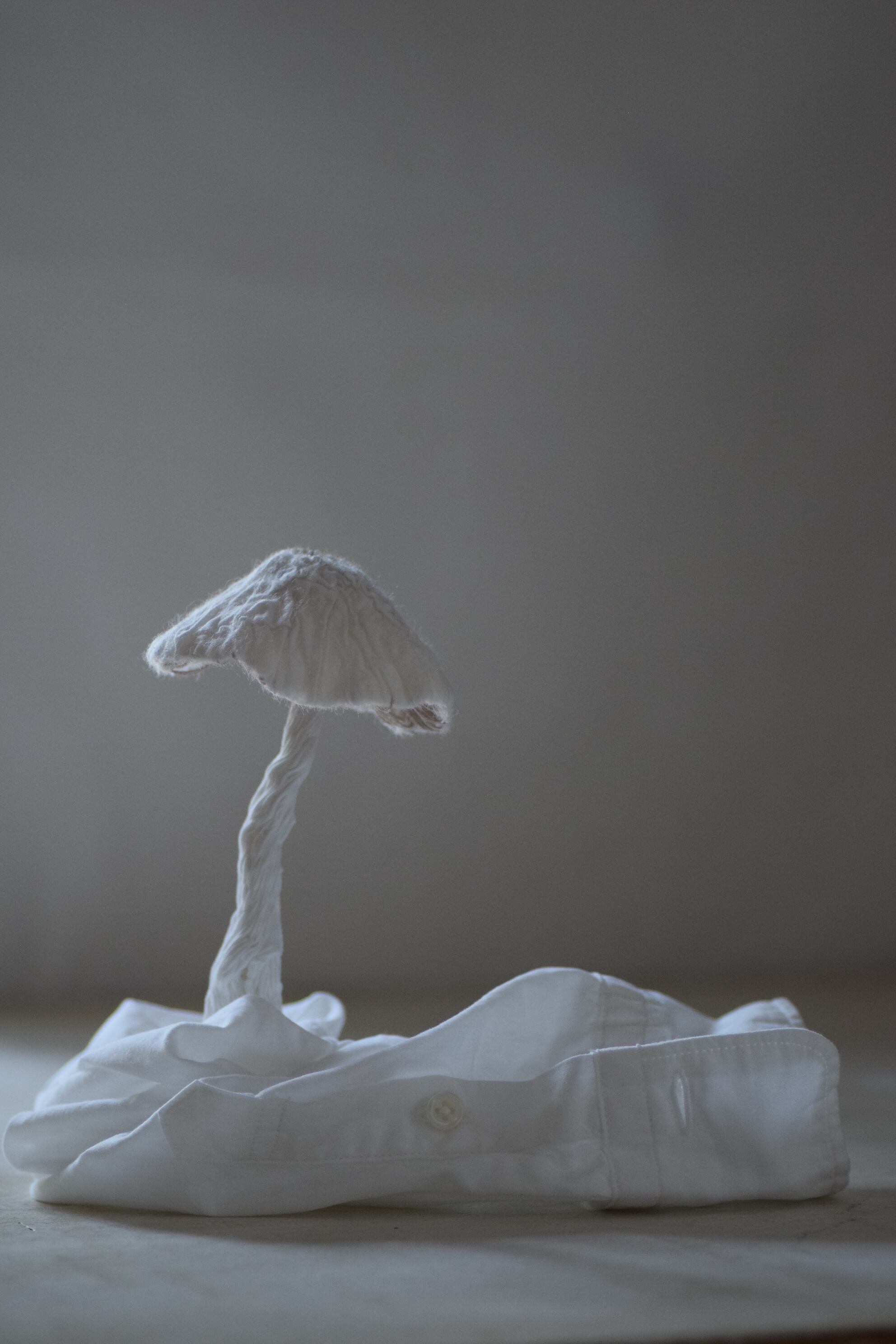 八窪章吾　オブジェ Shogo Hachikubo (@shogo.hachikubo) • Instagram photos and videos