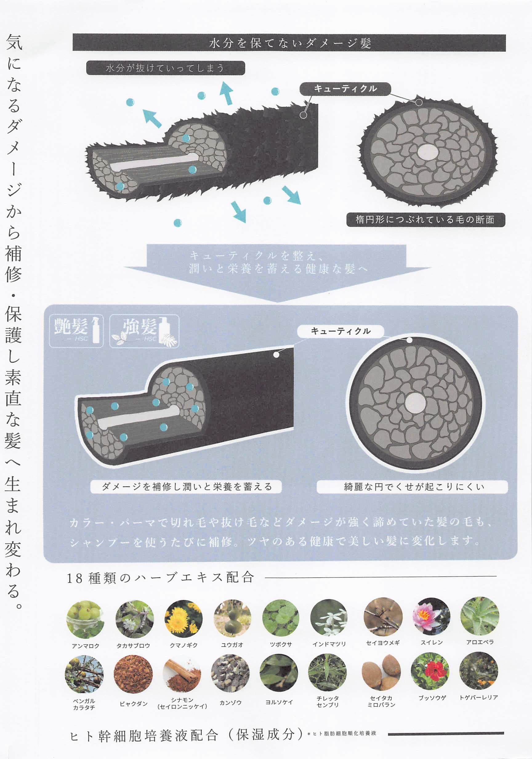 【エコ】で【超お得】なんですよ。大容量の1000mlと1000gは、お得すぎるだけでなく長期間使える