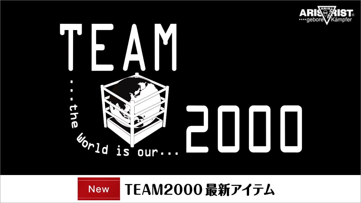 TEAM2000 最新アイテムが新登場！ | ARISTRIST