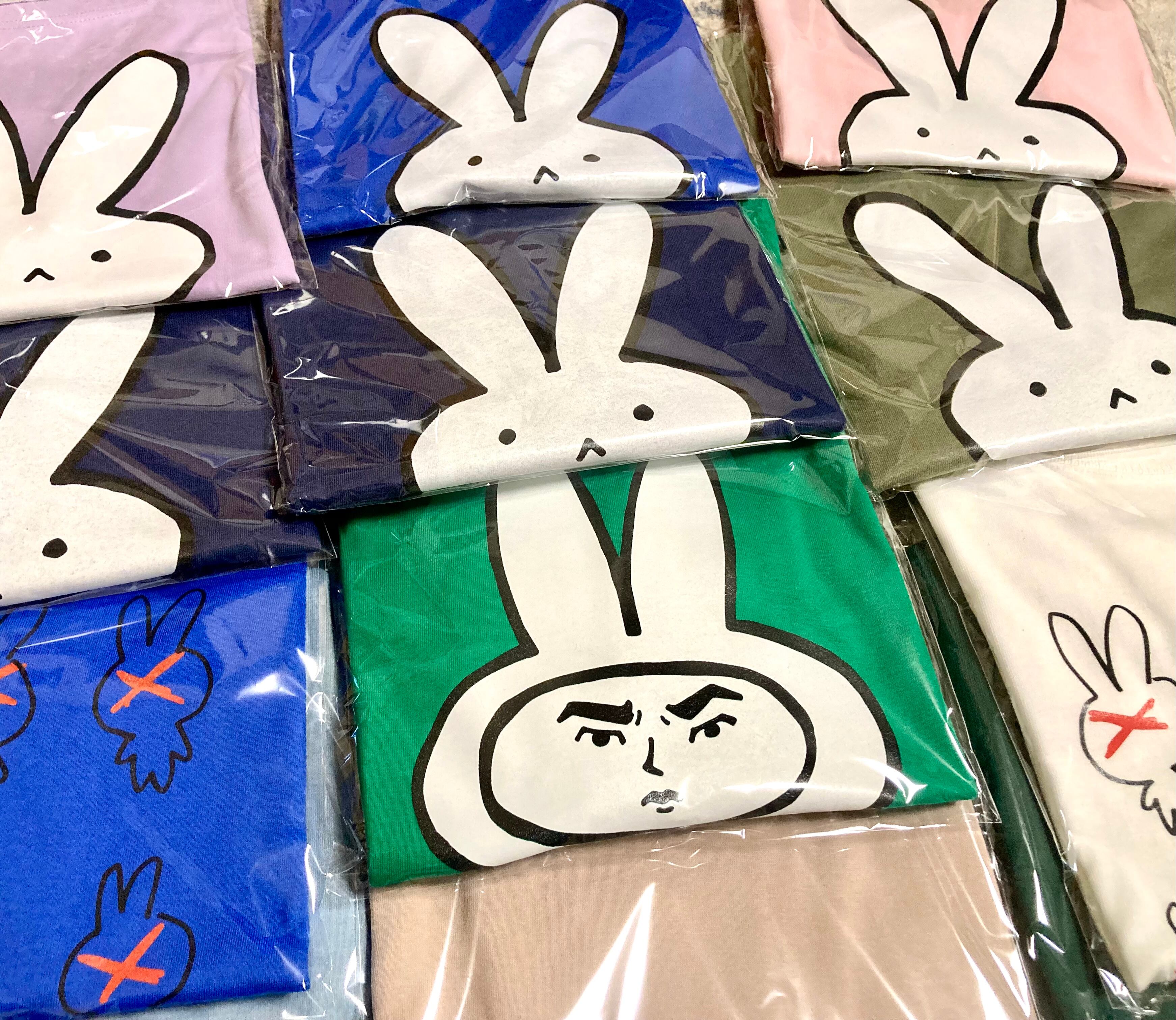 ウサギちゃん看板100個達成 | usagiproject