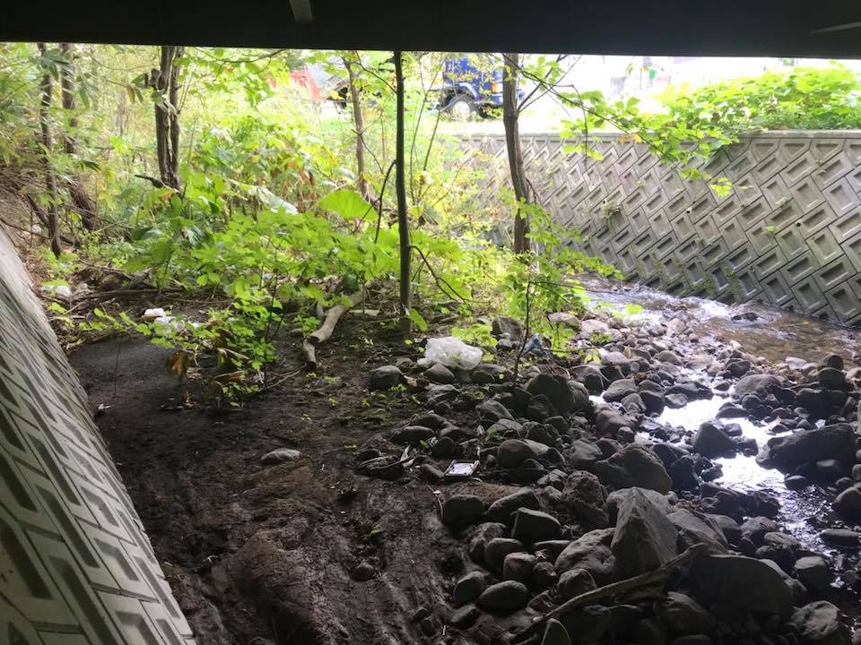 プラスチックを食べる時代 Npo法人北海道自然資源活用機構